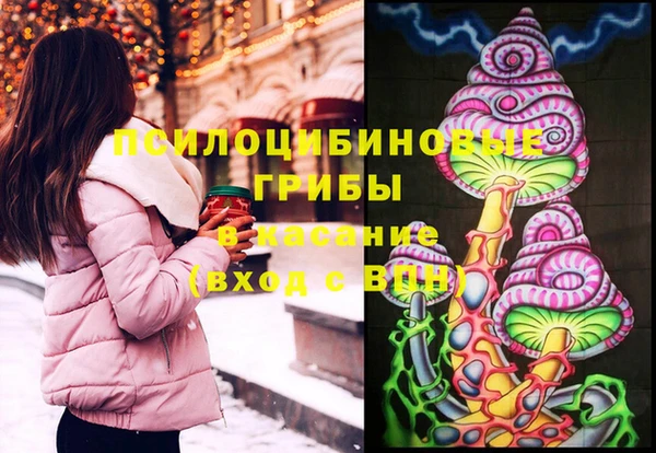 не бодяженный Арсеньев